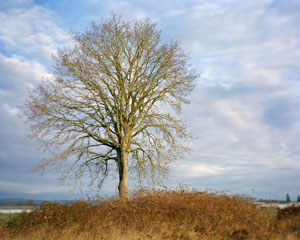 Chalmers1