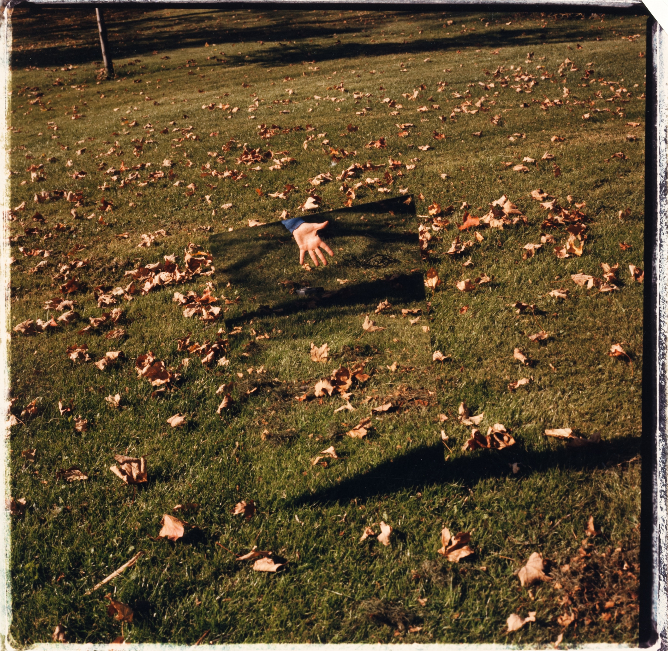 Rita Hammond, Grass, Mirror, Hand, circa 1989